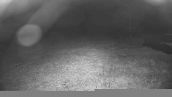 Snímek    17.9.2025 v 03:30