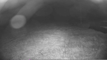 Snímek    17.9.2025 v 03:45