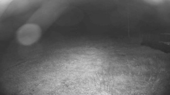 Snímek    17.9.2025 v 04:30