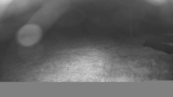 Snímek    17.9.2025 v 20:15