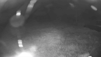 Snímek    17.9.2025 v 21:15