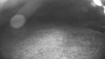 Snímek    17.9.2025 v 21:45