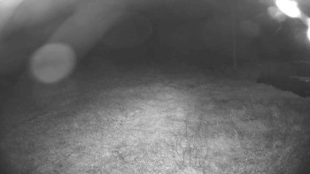 Snímek    17.9.2025 v 22:15