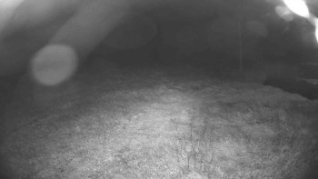 Snímek    18.9.2025 v 03:00