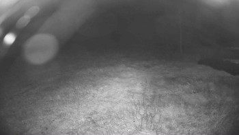 Snímek    19.9.2025 v 03:15