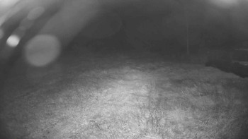 Snímek    19.9.2025 v 04:30