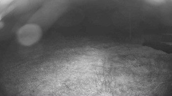 Snímek    19.9.2025 v 05:30