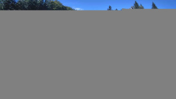 Snímek    19.9.2025 v 13:00