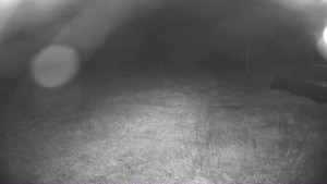 Lyžařský vlek Karlova Studánka - Sjezdovka - 29.9.2025 v 01:45