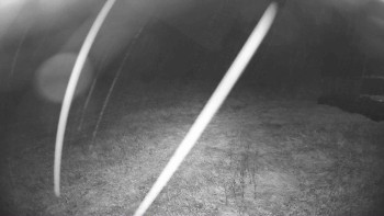 Snímek    6.10.2025 v 23:45