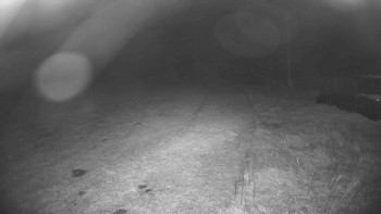 Snímek    13.10.2025 v 20:30