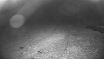Snímek    13.10.2025 v 21:30