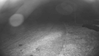 Snímek    14.10.2025 v 04:00
