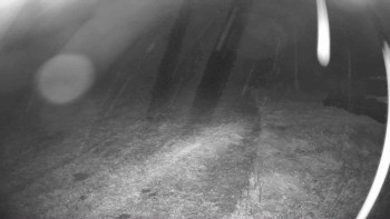 Snímek    14.10.2025 v 19:15