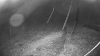 Snímek    14.10.2025 v 19:30