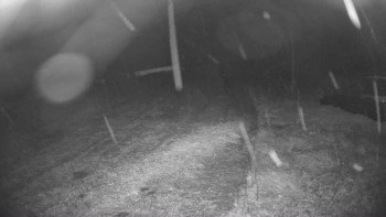 Snímek    14.10.2025 v 20:45