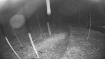 Snímek    14.10.2025 v 21:45