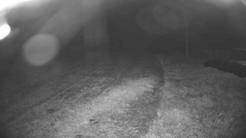 Snímek    16.10.2025 v 04:00