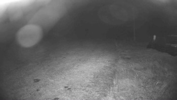 Snímek    16.10.2025 v 21:00