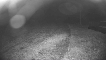Snímek    17.10.2025 v 19:30