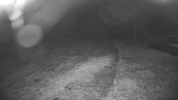 Snímek    18.10.2025 v 04:15