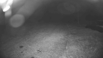 Snímek    18.10.2025 v 23:30