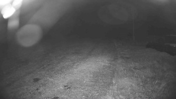 Snímek    19.10.2025 v 03:00