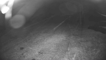 Snímek    19.10.2025 v 03:30
