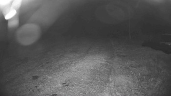 Snímek    19.10.2025 v 03:45