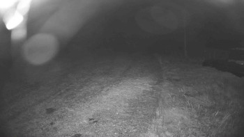 Snímek    19.10.2025 v 04:30