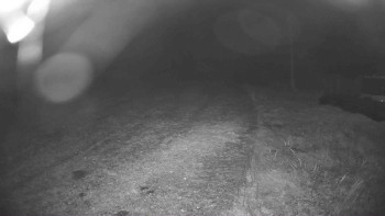 Snímek    19.10.2025 v 05:00