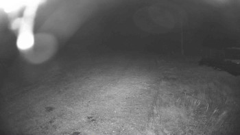 Snímek    20.10.2025 v 03:00