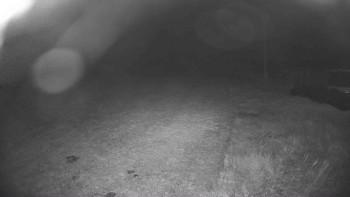 Snímek    20.10.2025 v 19:15