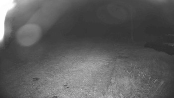 Snímek    20.10.2025 v 20:30