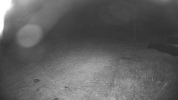 Snímek    20.10.2025 v 20:45