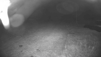 Snímek    20.10.2025 v 21:45