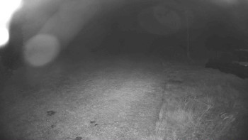 Snímek    20.10.2025 v 22:30