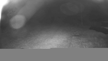 Snímek    21.10.2025 v 06:00