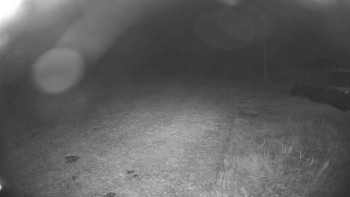 Snímek    21.10.2025 v 21:15