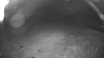 Snímek    22.10.2025 v 03:30