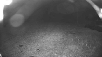 Snímek    22.10.2025 v 06:30