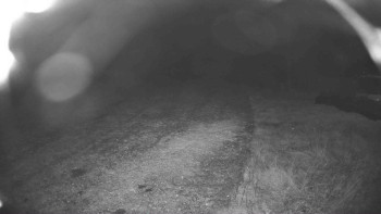 Snímek    22.10.2025 v 19:00