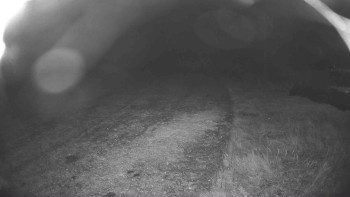 Snímek    22.10.2025 v 20:30