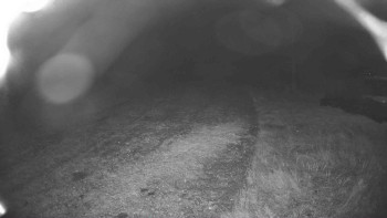 Snímek    22.10.2025 v 21:00
