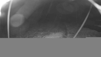 Snímek    22.10.2025 v 22:15