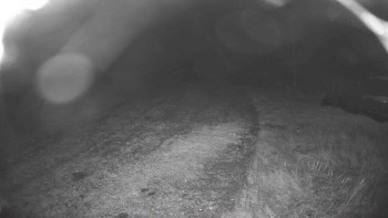 Snímek    22.10.2025 v 22:30