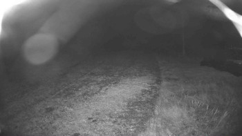 Snímek    23.10.2025 v 05:45