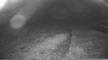 Snímek    25.10.2025 v 20:00