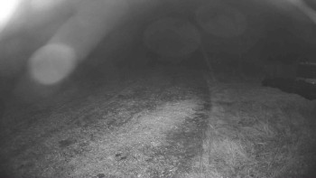 Snímek    25.10.2025 v 20:30