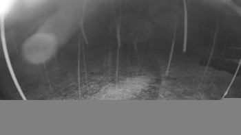 Snímek    25.10.2025 v 21:00